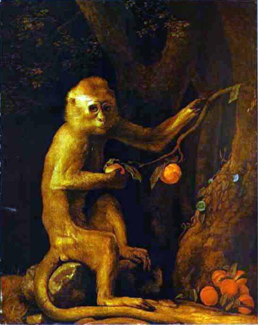George Stubbs Green Monkey oil painting image